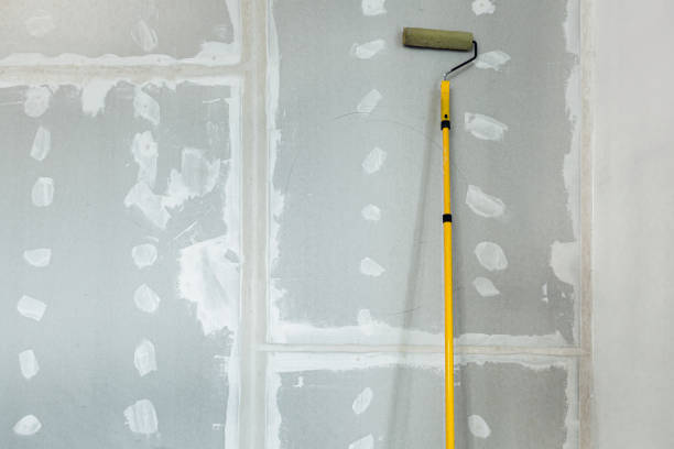 Best Biohazard Mold Removal  in Maywood, NJ