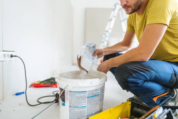 Maywood, NJ Mold Removal Company