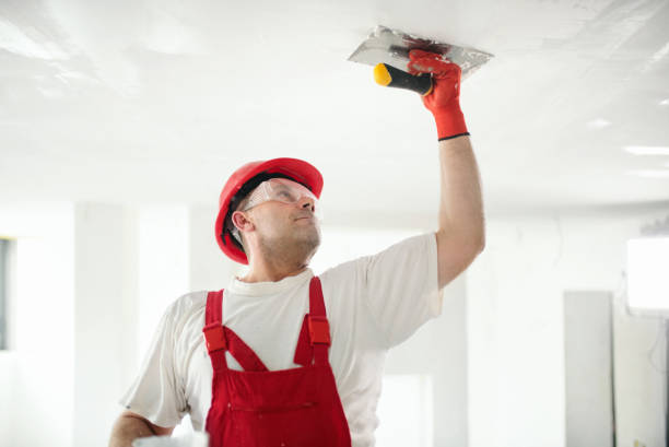 Best Mold-Related Health Consultation  in Maywood, NJ