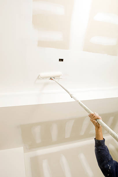 Best Mold Documentation for Insurance Claims  in Maywood, NJ