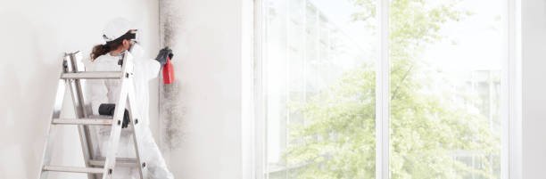 Best Dehumidification Services  in Maywood, NJ