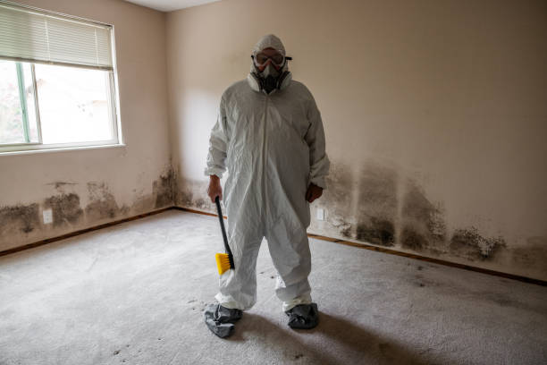 Best Mold Damage Restoration  in Maywood, NJ