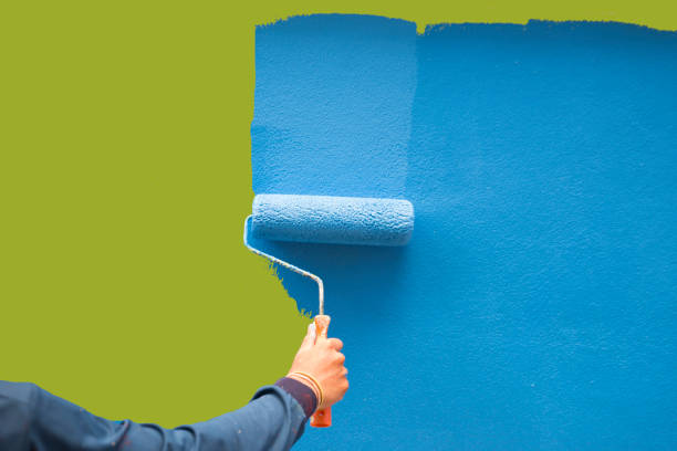Best Basement Mold Removal  in Maywood, NJ