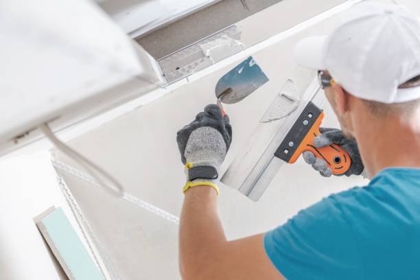Mold Documentation for Insurance Claims in Maywood, NJ